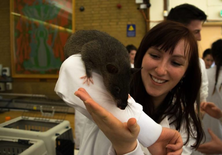 LUVZS Day 2016 Liverpool Vet School The Jet Set Vet