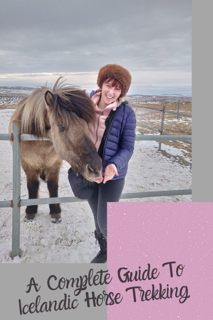A Guide To Icelandic Horse Trekking