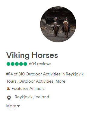 viking horses